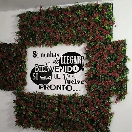 El Chato Nocleg ze śniadaniem 3*